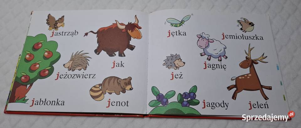ABC Uczę się J jamniki Strzałkowska Hachette ISBN 9788374489614 Czeladź
