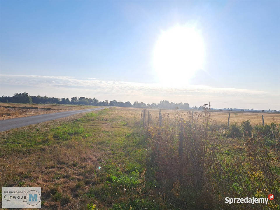 sprzedaży działki Łubnice 21800m2