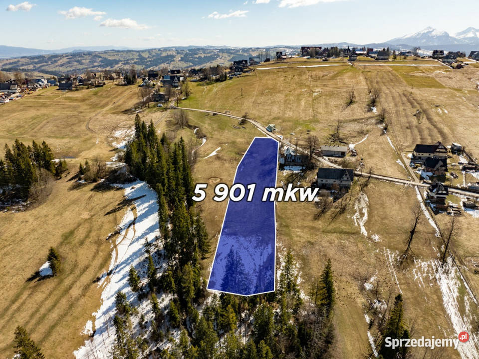 Sierockie działka 5901m2 WZtka 4 domy Sprzedaż