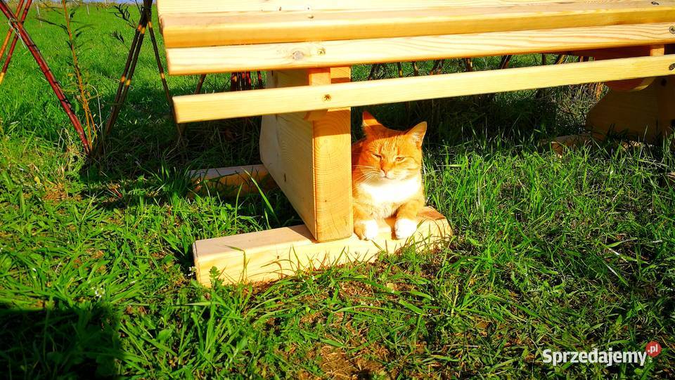 Ławka drewniana ławka ogrodowa świętokrzyskie Radków