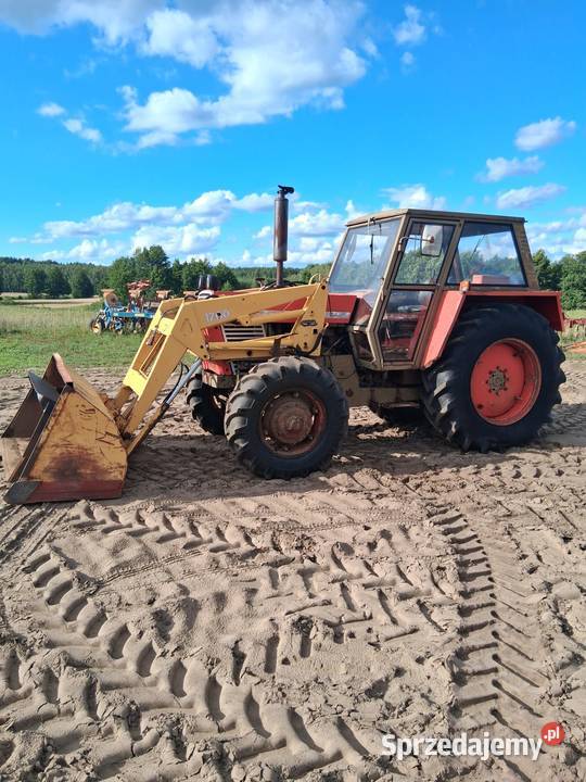Zetor 8045 z turem szeroki i wąski dach Gostynin