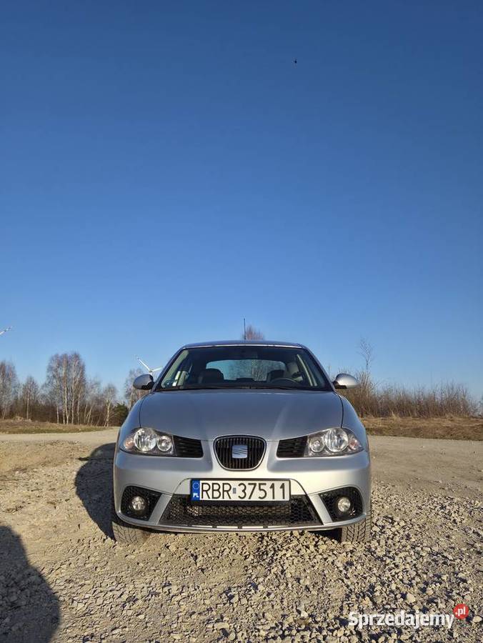 Seat Ibiza III 228000km