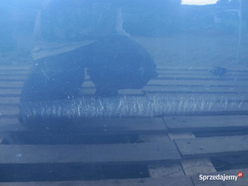 AUDI A6 C6 07r drzwi prawe tył kompletne