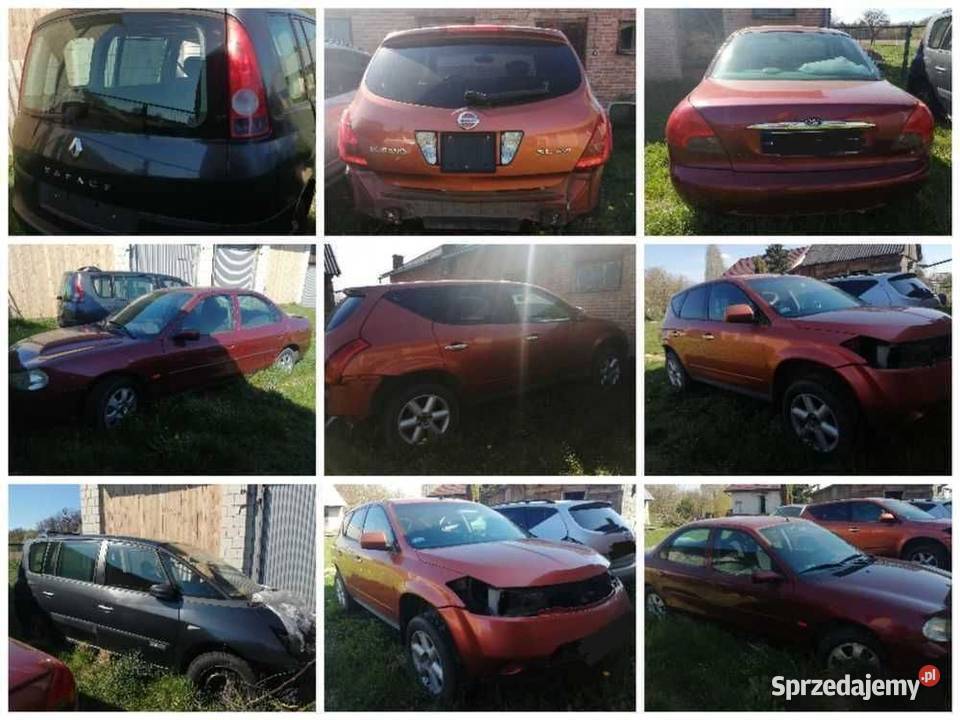 Nissan Murano reflektor xenon przód prawy lewy Kraśnik