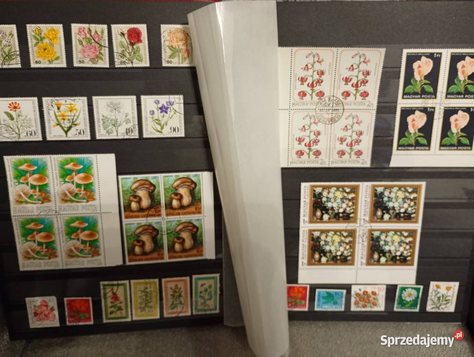 Duży album klaser ze starymi znaczkami