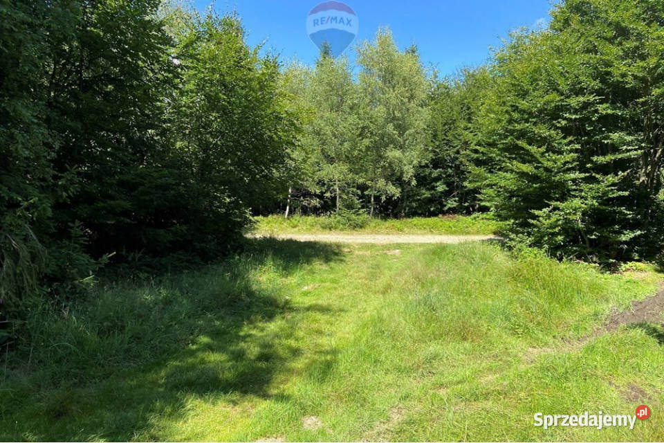 Działka na szczycie Magurki Wilkowickiej Wilkowice