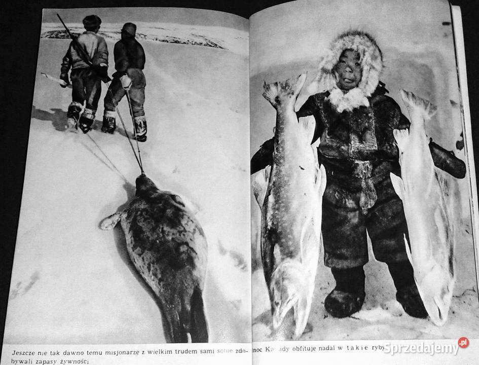 Inuk Roger Buliard lubelskie Chełm