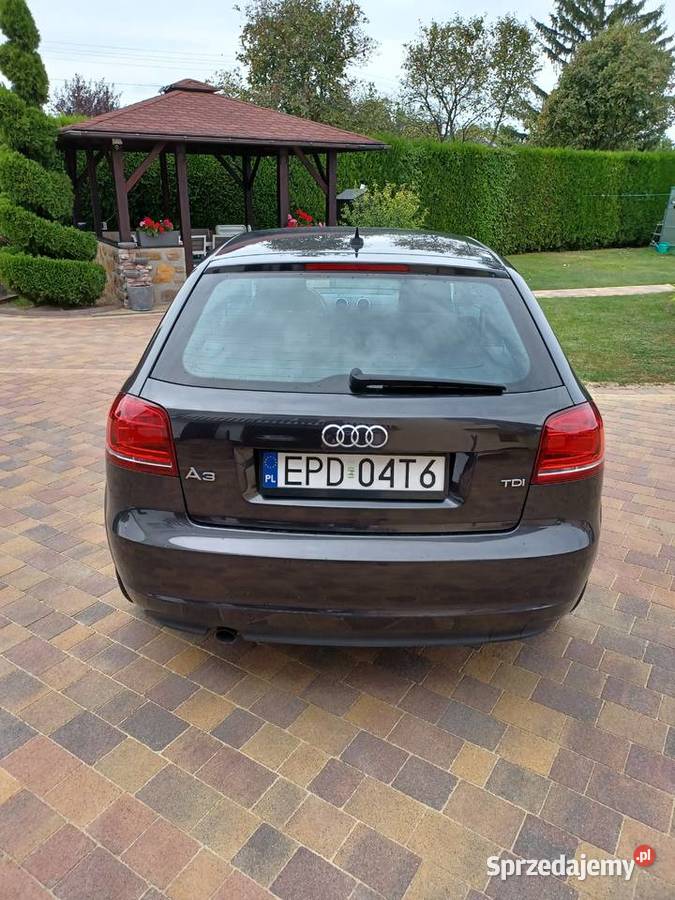 Audi A3 Audi A3 20 TDI CR 140 Ambition Ozorków