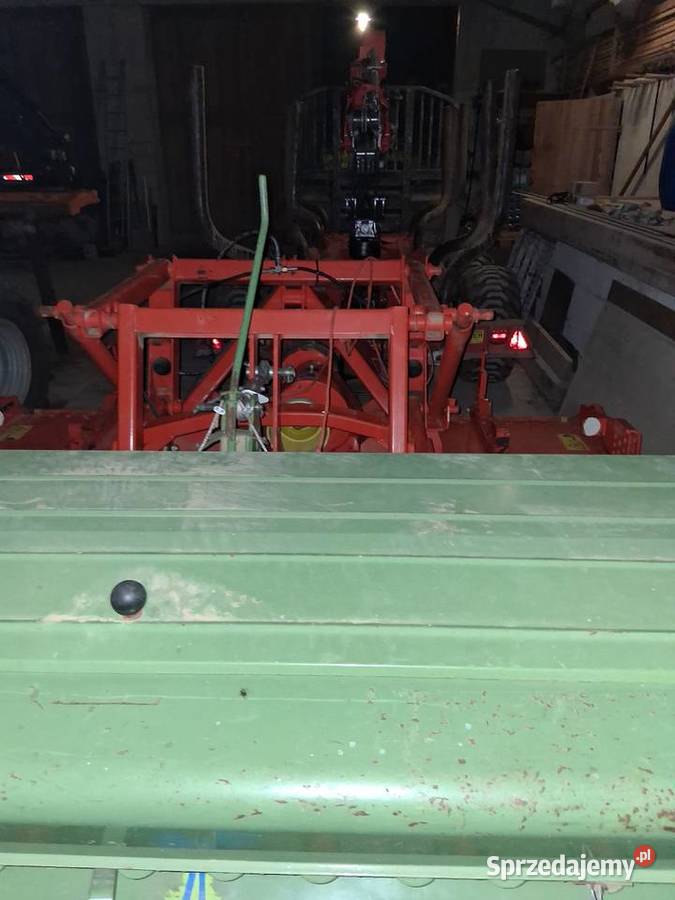 Brona wirowa małopolskie Rabka-Zdrój