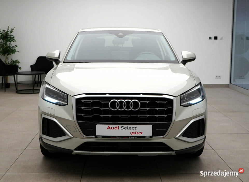 Audi Q2 30TFSI 116 Manual Led Kamera Tempomat Q2 Kielce