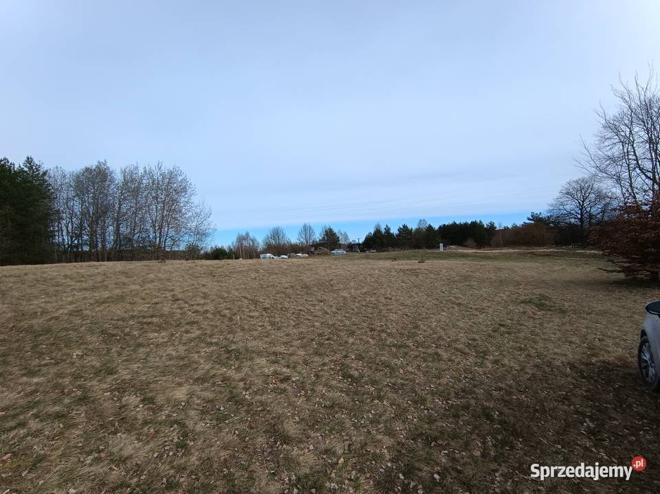 Działka rolna Przeradz gmina Grzmiąca