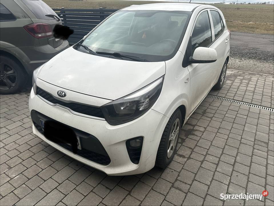 Kia Picanto Kurowice