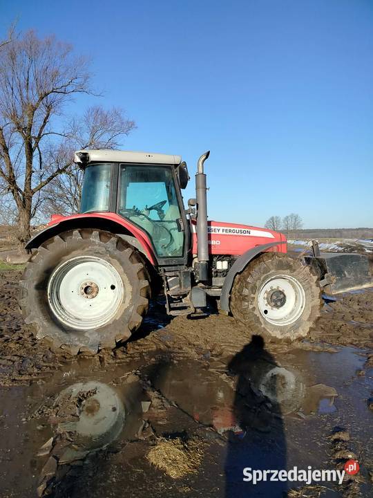Sprzedam Ciągnik Massey Ferguson 6489 wielkopolskie