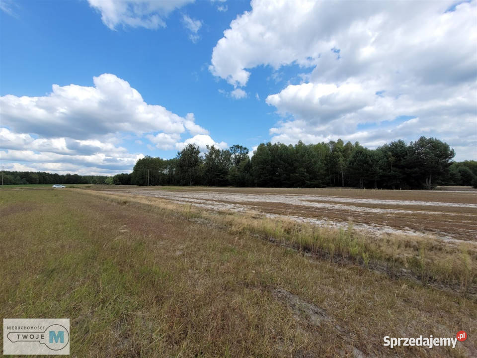 Grunt do sprzedania 8000m2 Kluczewsko prąd
