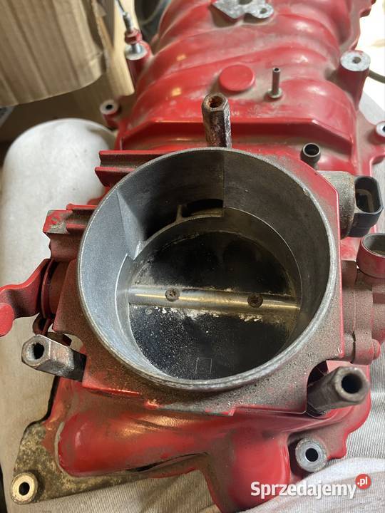 Volvo Penta 50 MPI śruby mocujące korpus Piła