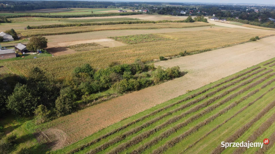 Działka Motycz 13 ar budownictwo jednorodzinne utwardzona