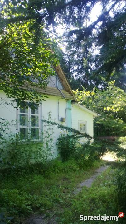 Domek w lesie telefon Grabowce Dolne