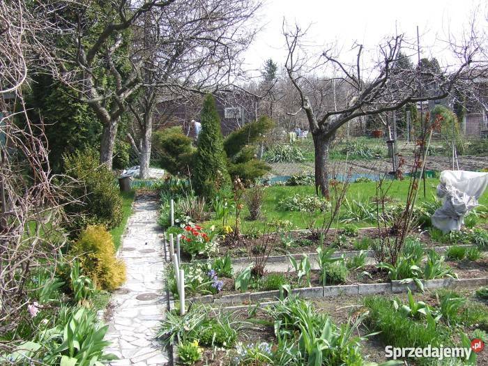 Sprzedam działkę na terenie ROD Okęcie Warszawa Warszawa