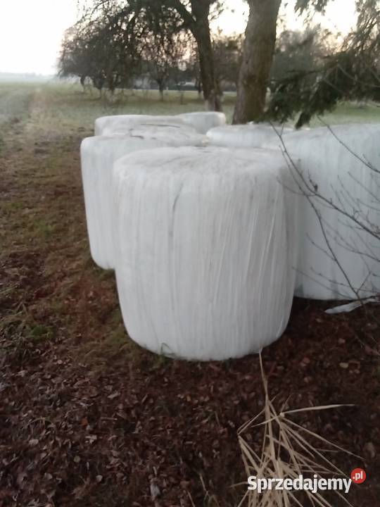 Sianokiszonka Szadek