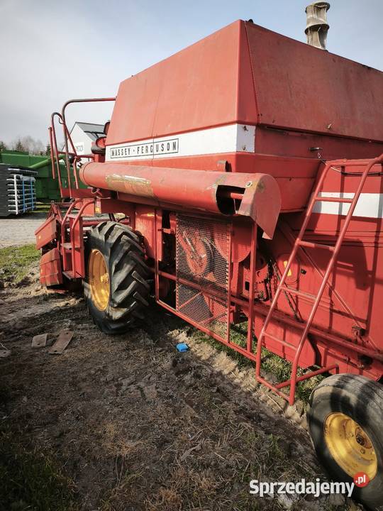 Massey Ferguson 186 Modliborzyce