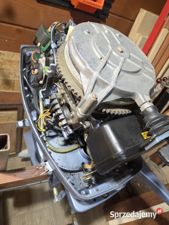 Silnik zaburtowy Evinrude 25 Kraków