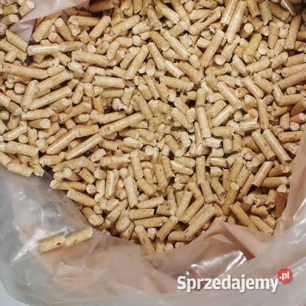 Quality Wood Pellets Grodzisk Wielkopolski