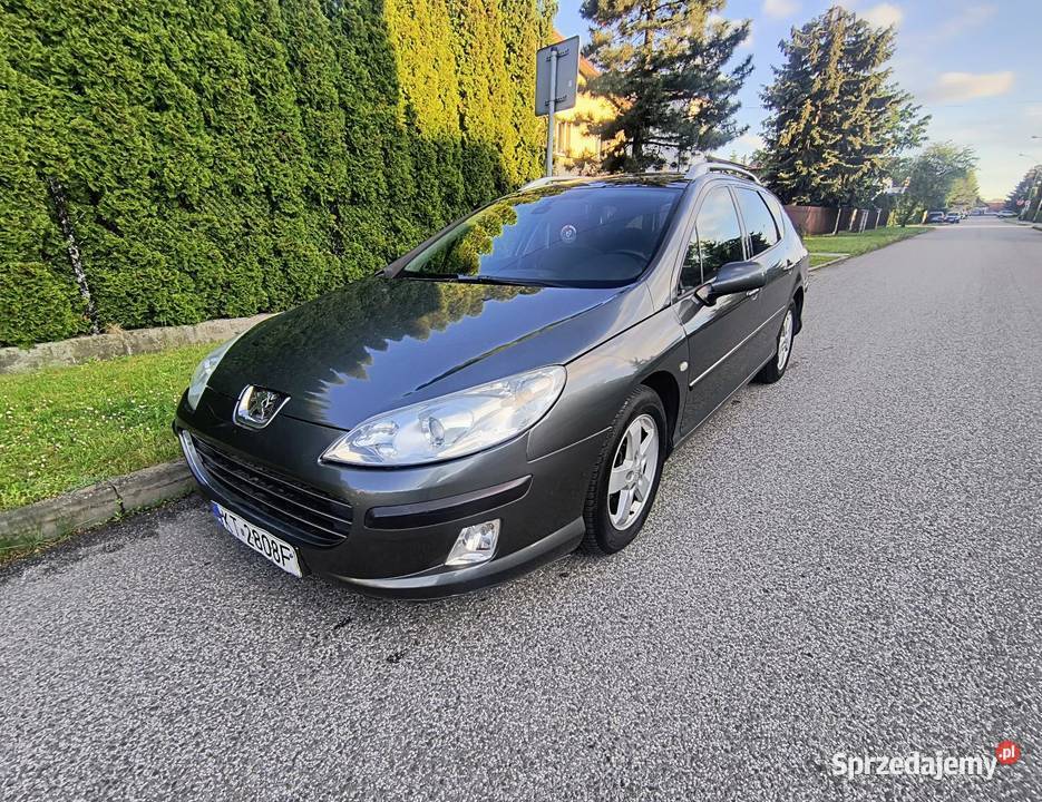 Peugeot 407 LPG 407 407 małopolskie