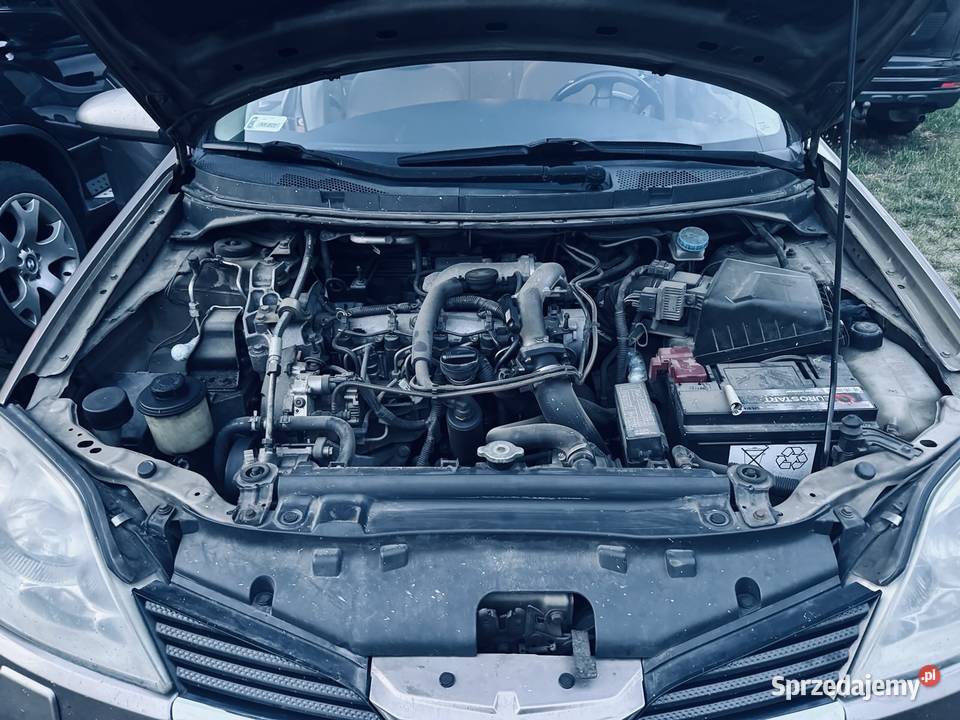 Nissan Primera Żagań