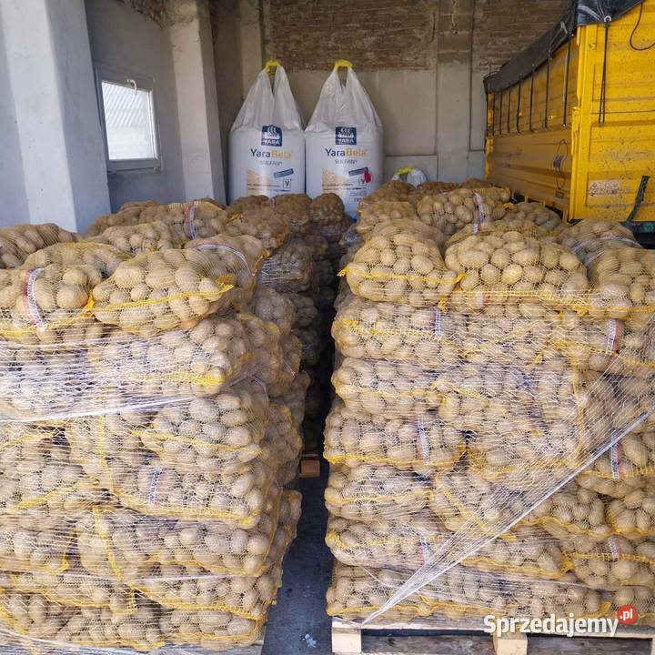 Sprzedam Ziemniaki Uściszowice