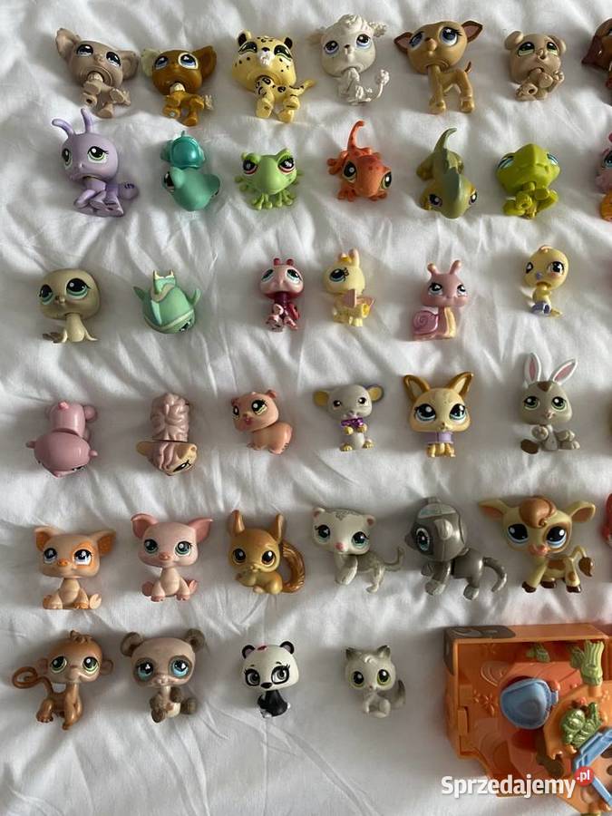Ogromny zestaw littlest pet shop 59 sztuk 4 6 lat+ Wrocław