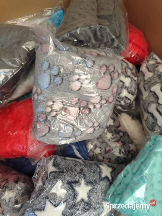 Koce psa 100x70 50 śląskie Częstochowa