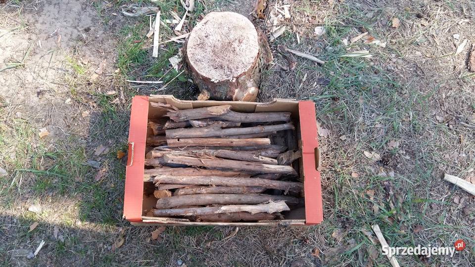 Drewno Jałowca Suche do wędzenia aromatyczne