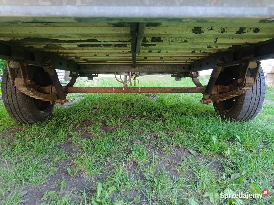 Niewiadów N126 na resorze Stryków