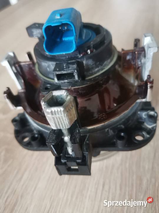CITRON XSARA PICASSO PRAWY HALOGEN PRZÓD
