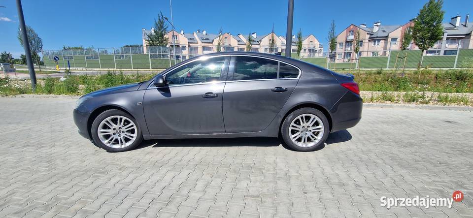 Opel insignia bluetooth Długie Pole