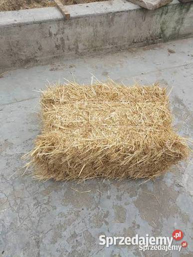 Słoma kostka pszenna jęczmienna 15 Śmigiel