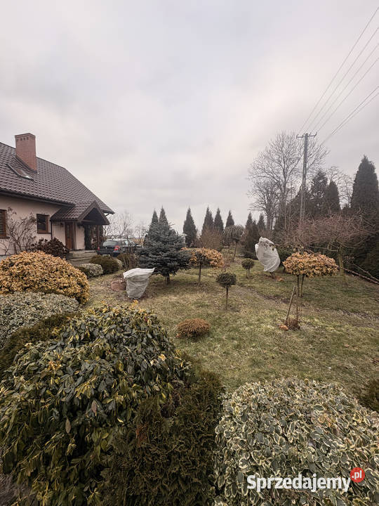 Błaszki Dom 160 m na dużej działce 30 arów cisza