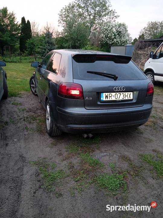 Audi A3 16 MPI 2004 Ciechanów