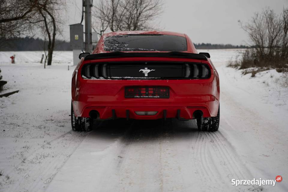 Mustang 37 mazowieckie sprzedam