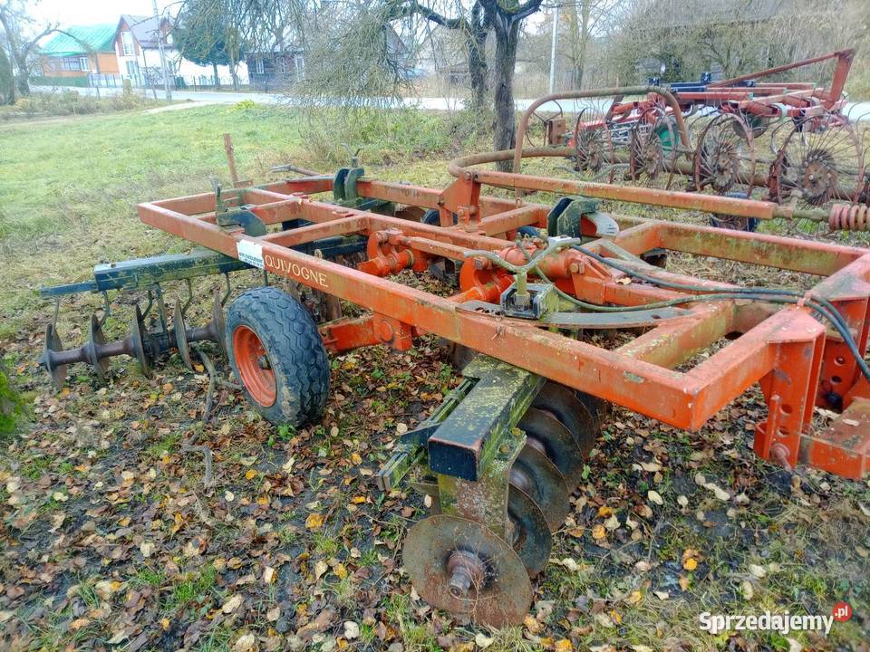 Talerzówa nieuszkodzony Lipsk
