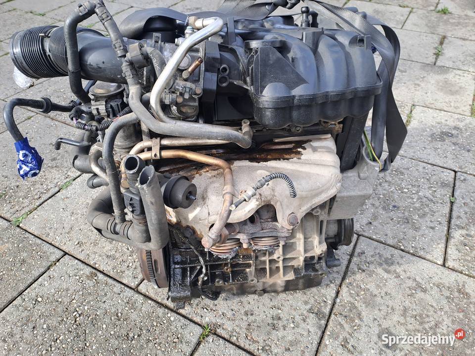 Audi Skoda Seat Volkswagen 16 8V 102 silnik Jastrzębie-Zdrój