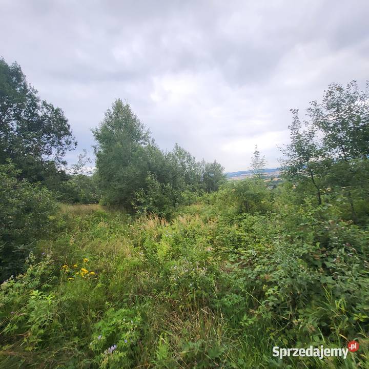 Działka niezabudowa Jaszkówka gm Kłodzko