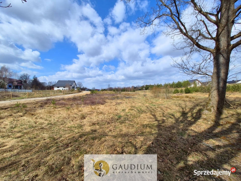 Przystanek NATURA działka pod lasem Kobysewo