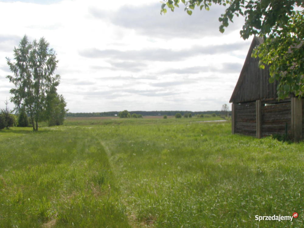 Siedlisko rzeką Narew sprzedam