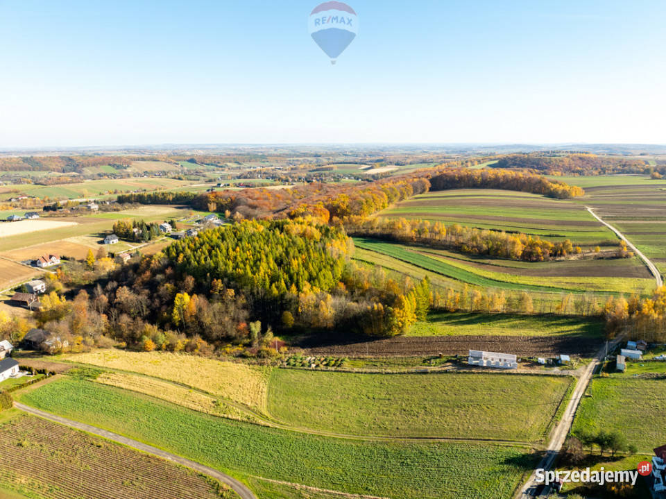 Działka z bijącym źródłem i kawałkiem lasu 30m małopolskie Stoki