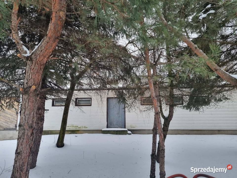 Lokal użytkowy wynajem Serniki sprzedam