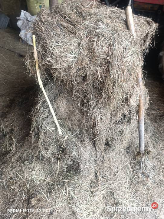 Sianokiszonka 120 Sieradz