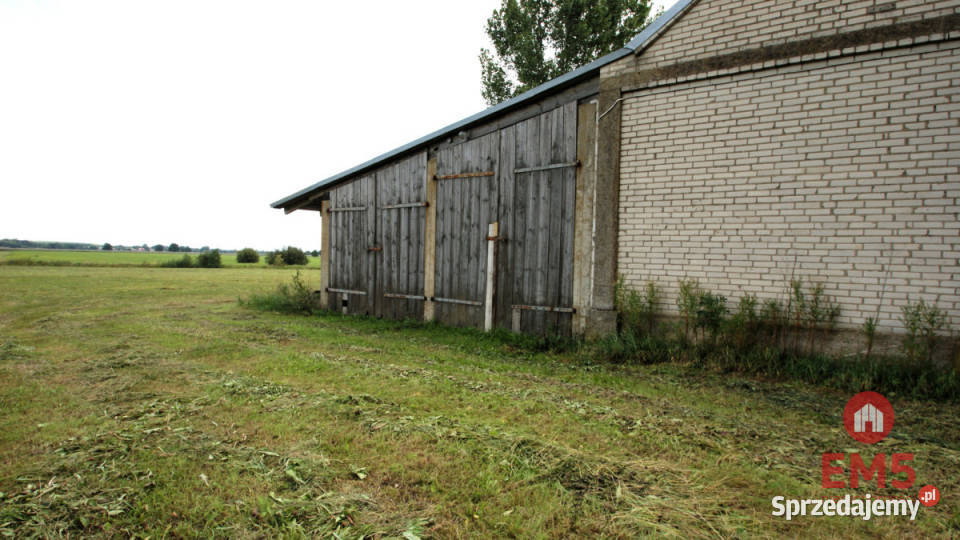 Lokal Jeńki 150m2 Nieruchomości