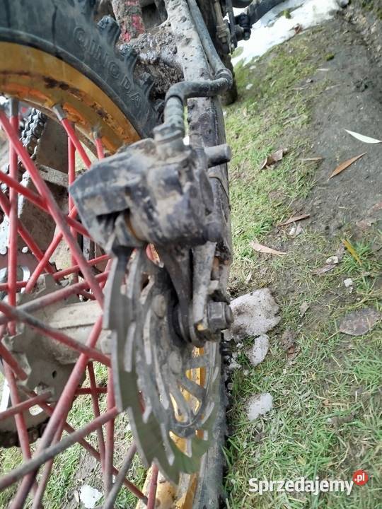 Sprzedam diabolini 250