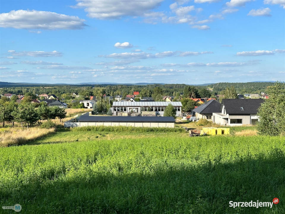 sprzedaży gruntu 800 metrów Morawica